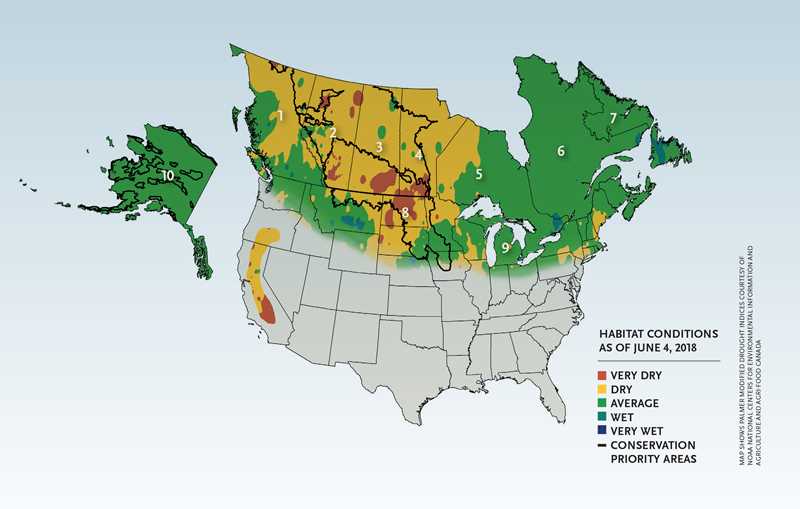 Late spring 2018 map